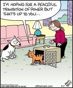 PeacefulTransitionOfPower