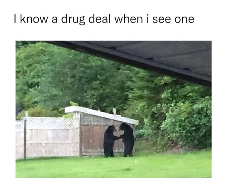 DrugDealOrProposal