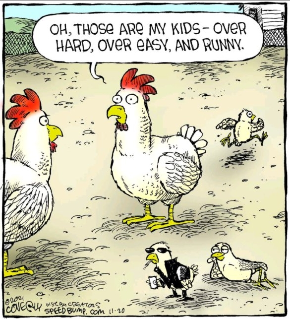 ChickenNames.jpg ChickenNames