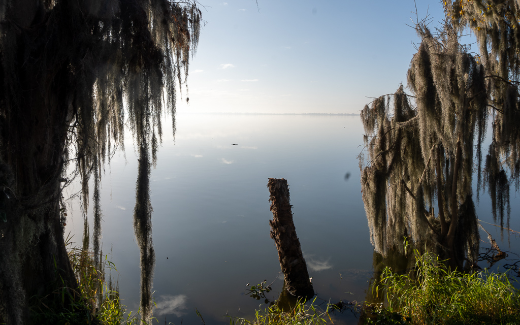 Z50 1277 NEF DxO DeepPRIME