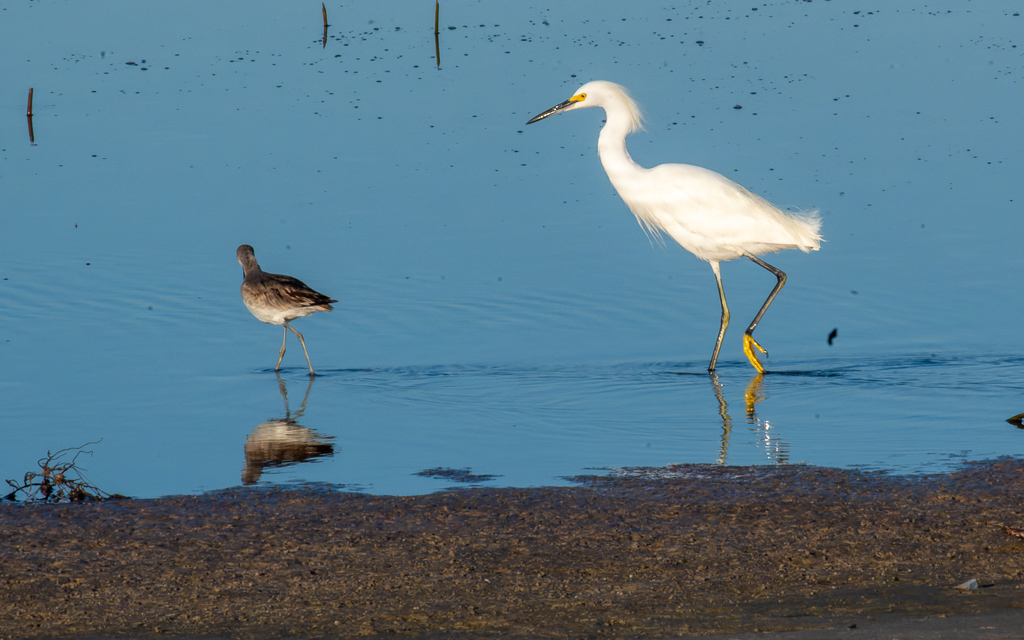 Z50 2158 NEF DxO DeepPRIME