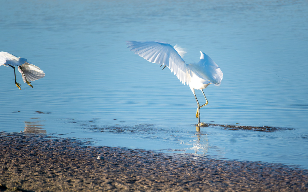 Z50 2315 NEF DxO DeepPRIME