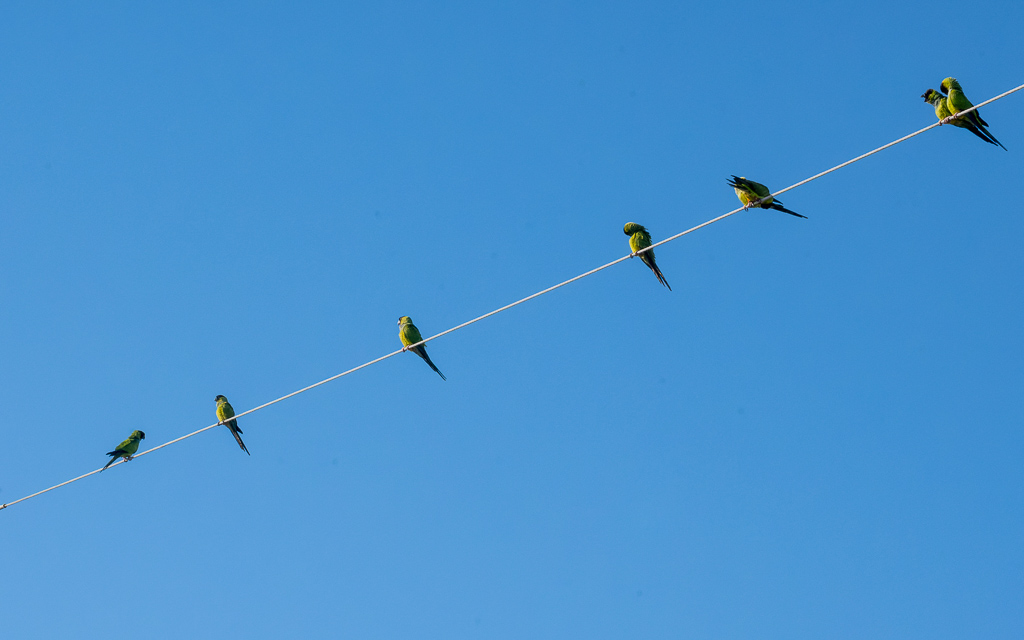 Z50 2407 NEF DxO DeepPRIME