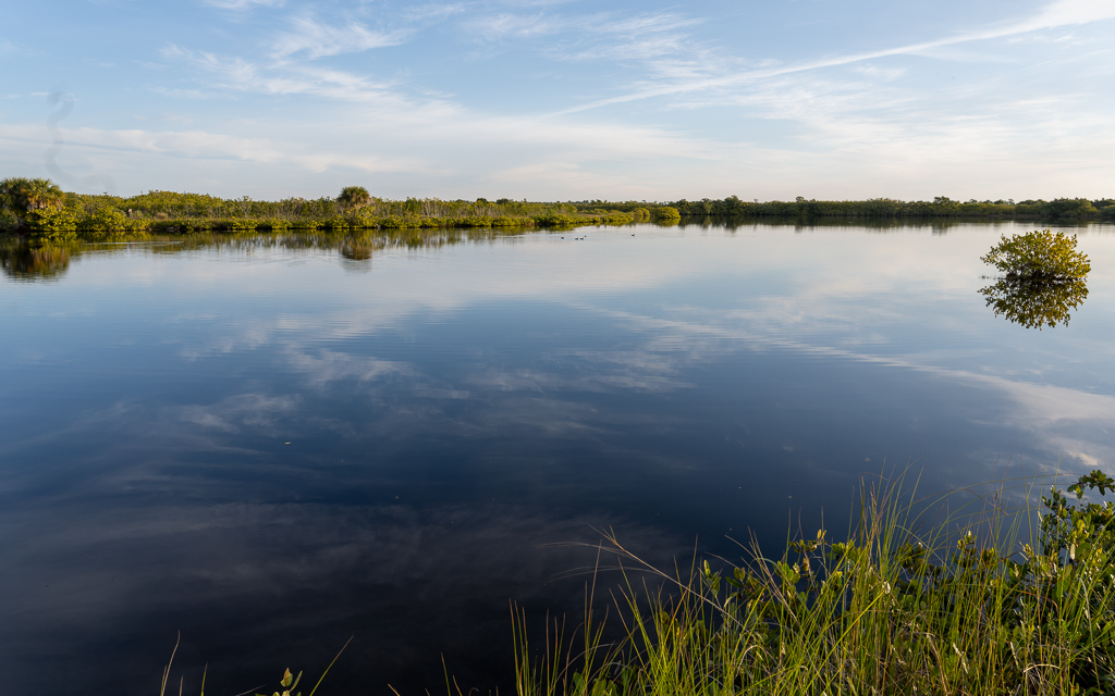 Z72 2271 NEF DxO DeepPRIME