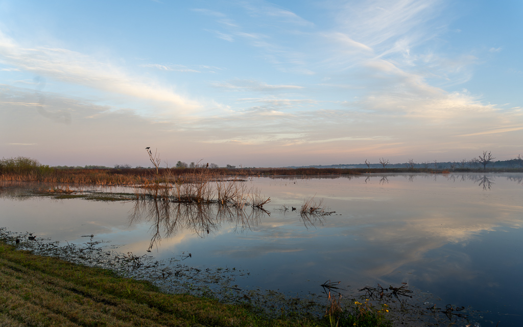 Z72 2556 NEF DxO DeepPRIME