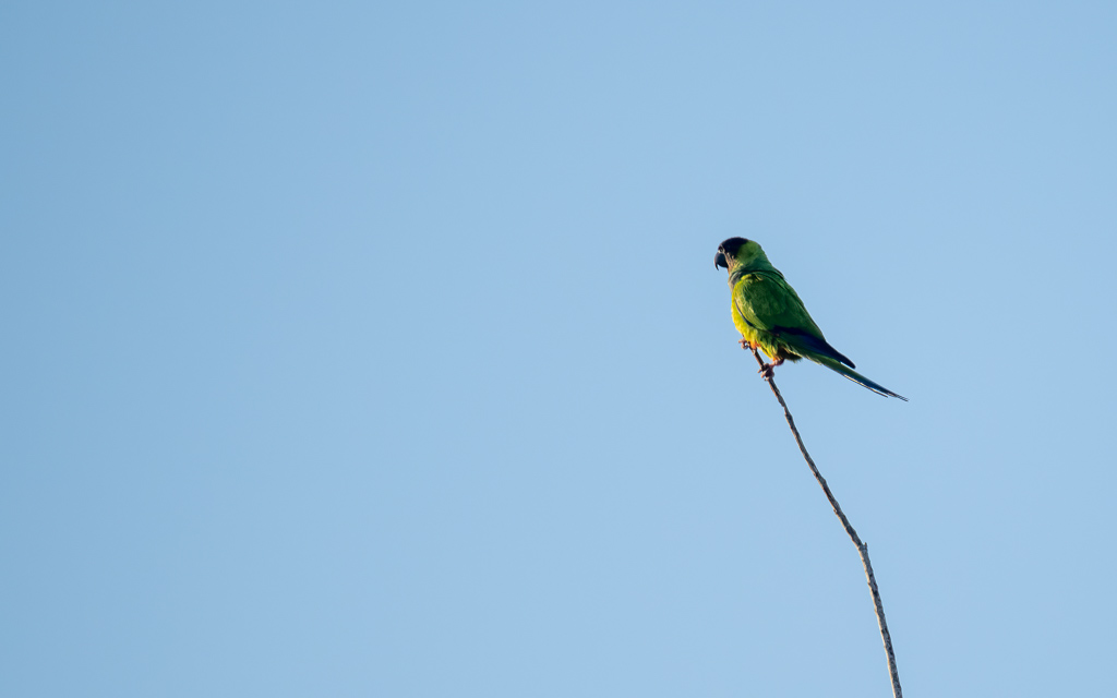 Z72 3186 NEF DxO DeepPRIME Edit