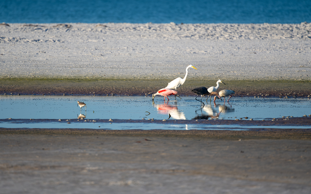 Z72 3189 NEF DxO DeepPRIME