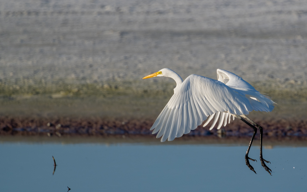 Z72 3226 NEF DxO DeepPRIME