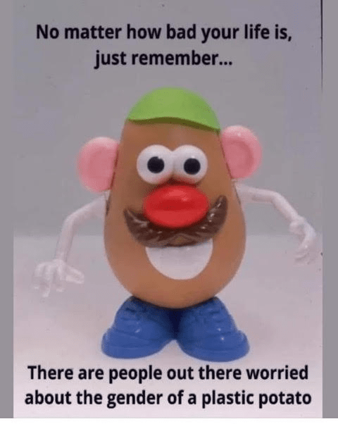 MrPotatoHeadGender