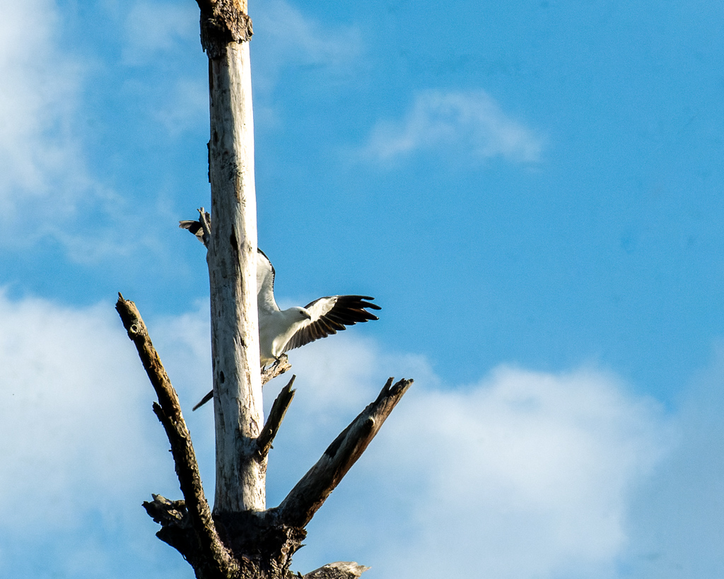 Z50 2962 NEF DxO DeepPRIME