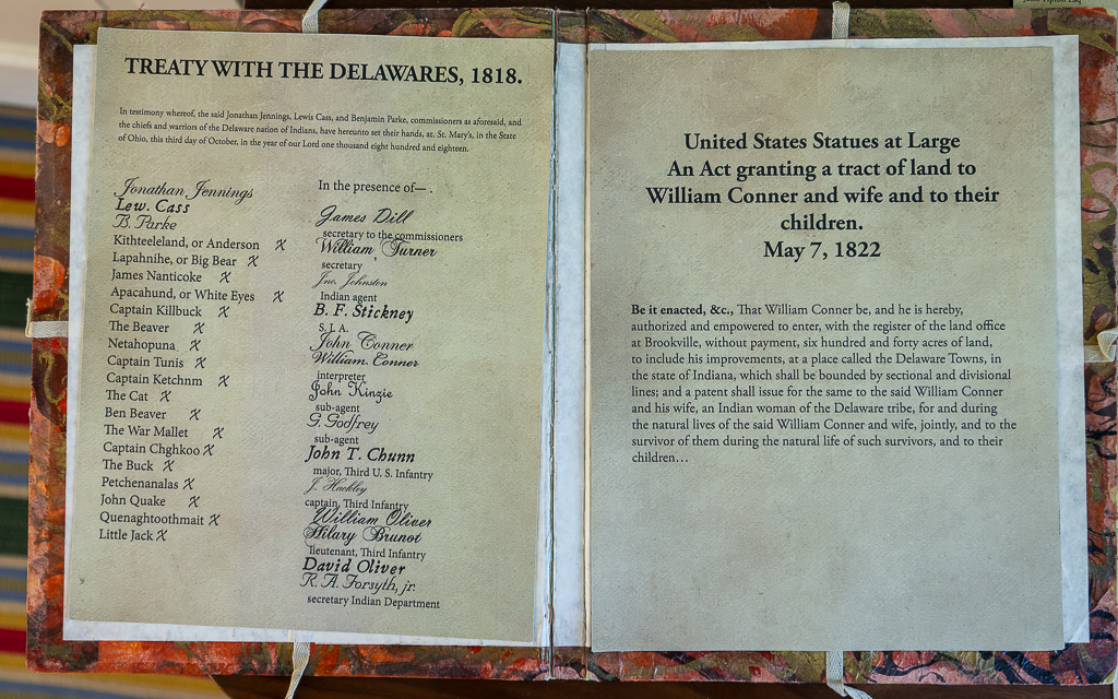 DZ90353 NEF DxO DeepPRIME