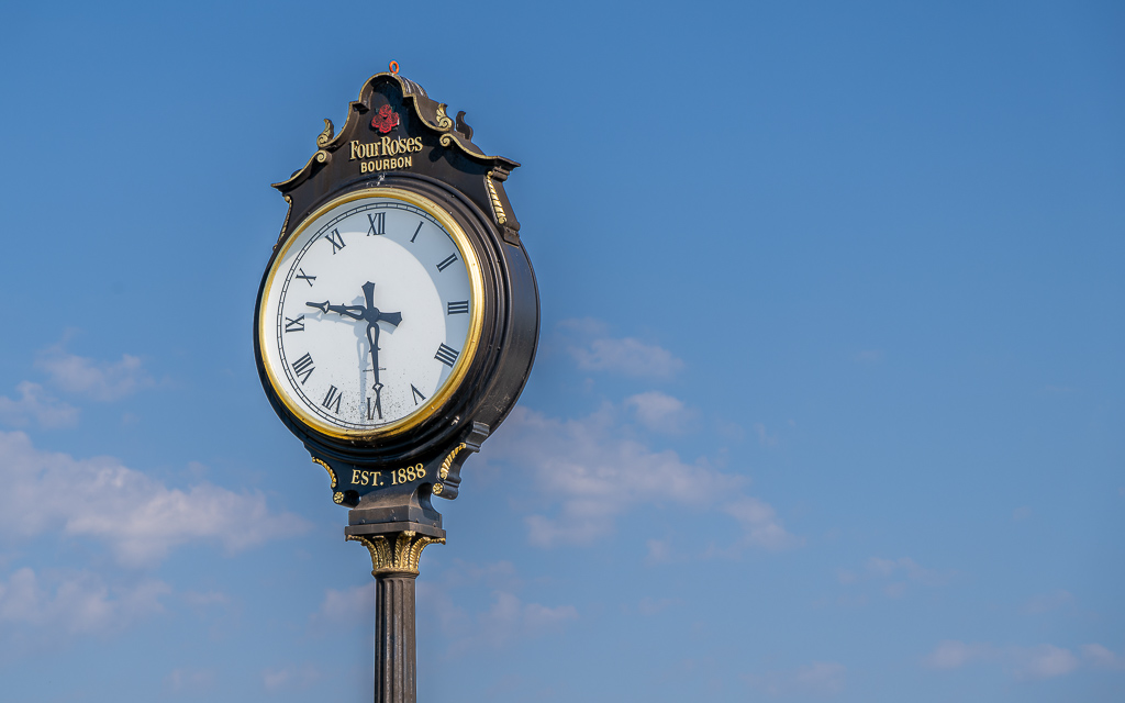 DZ9 0519 NEF DxO DeepPRIME