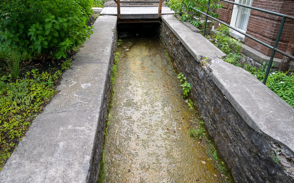 DZ9 0565 NEF DxO DeepPRIME