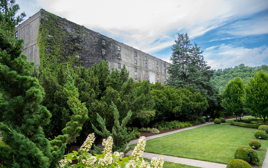 DZ9 0568 NEF DxO DeepPRIME