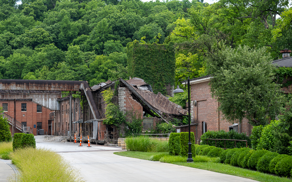 DZ9 0574 NEF DxO DeepPRIME