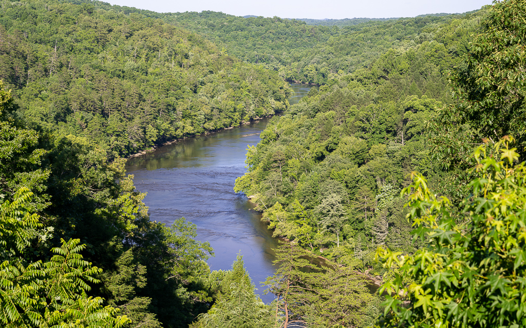 DZ9 0597 NEF DxO DeepPRIME