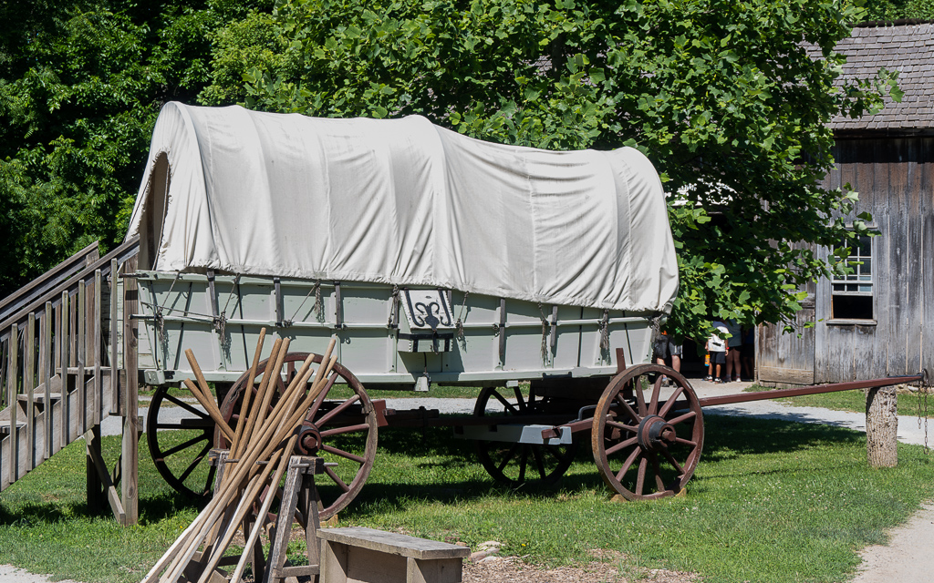 Z50 3433 NEF DxO DeepPRIME