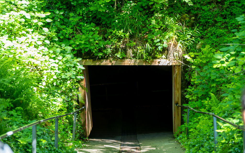 Z72 4465 NEF DxO DeepPRIME