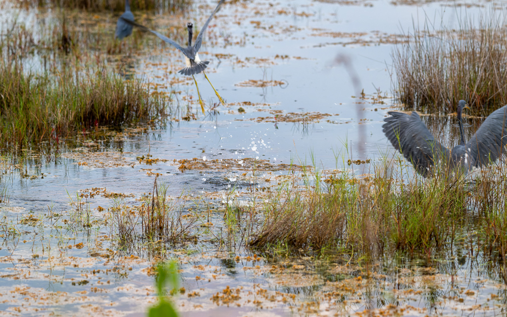 DZ9 6819 NEF DxO DeepPRIME