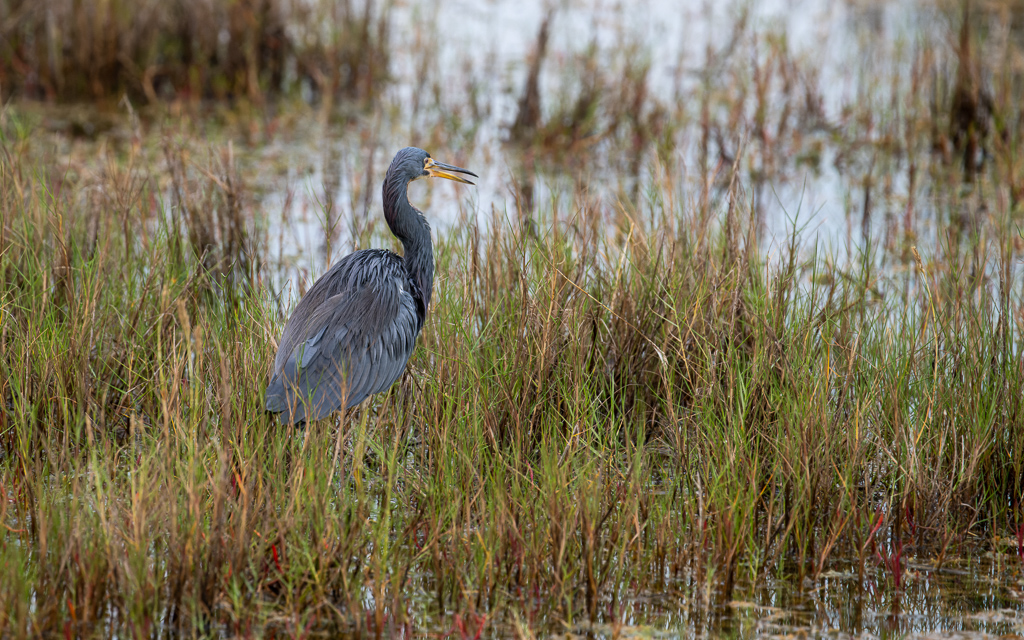 DZ9 6855 NEF DxO DeepPRIME