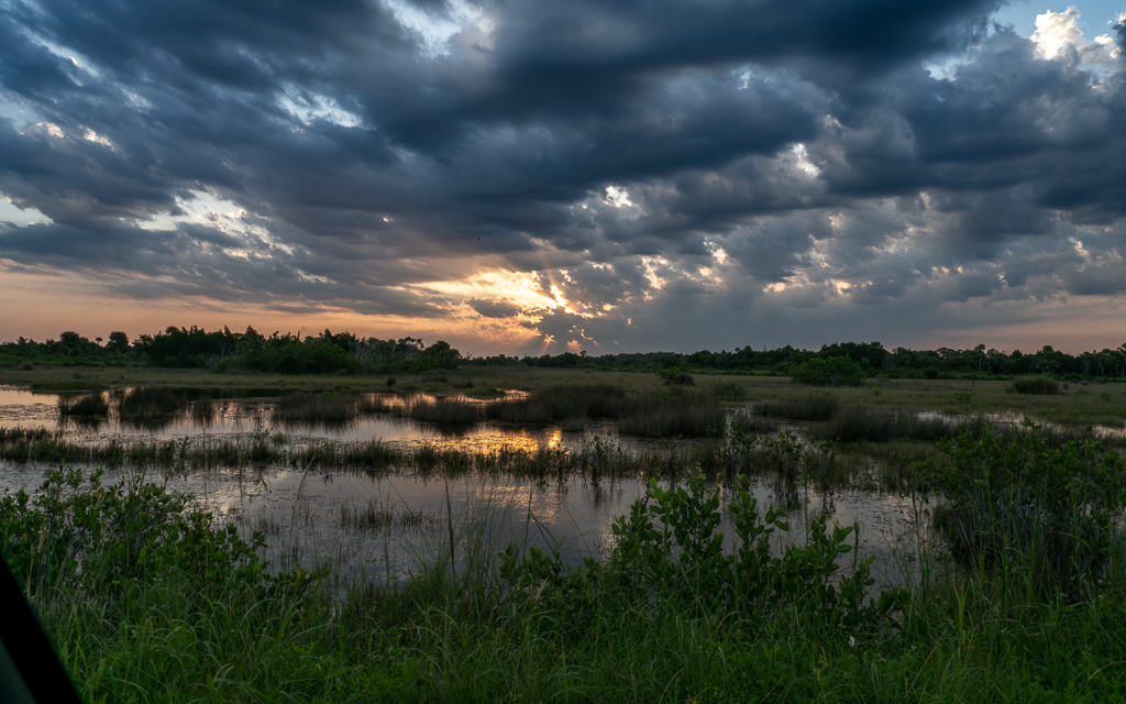 DZ9 6886 NEF DxO DeepPRIME