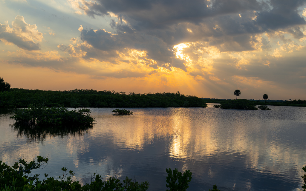 DZ9 6904 NEF DxO DeepPRIME