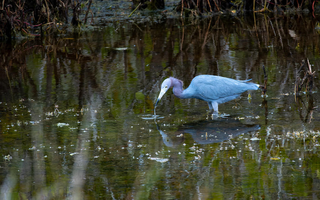 20230105 BlkPointDrive Z50 3796 NEF