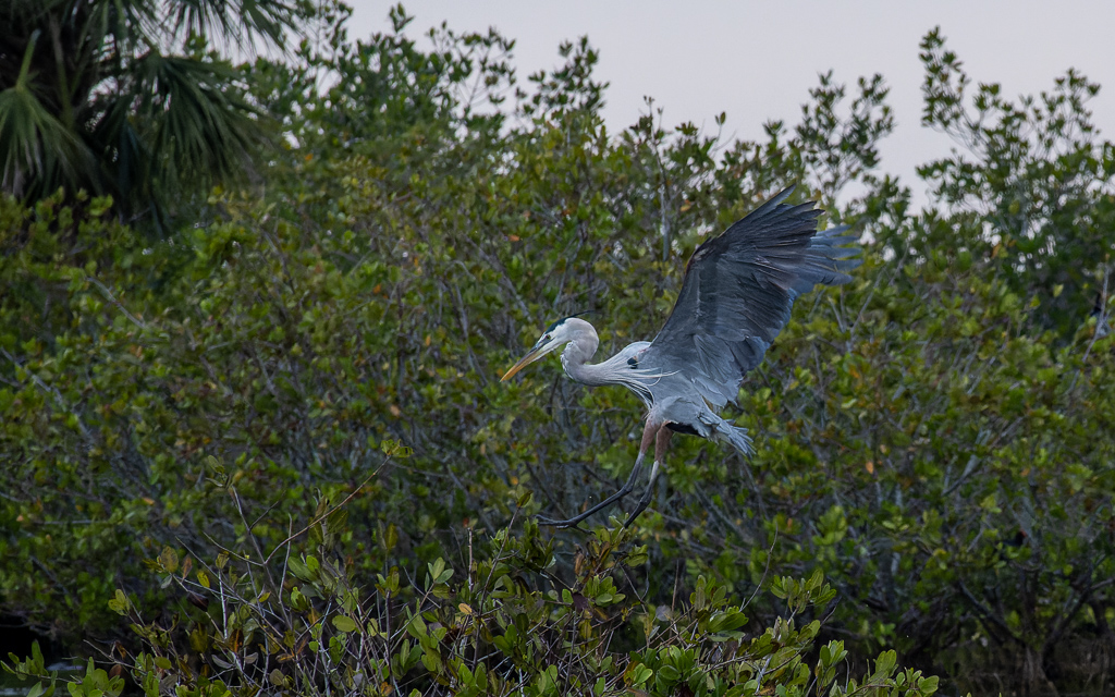 20230105 BlkPointDrive Z50 3834 NEF