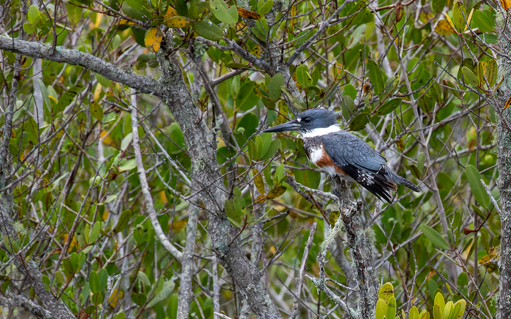 20230105 BlkPointDrive Z50 3858 NEF