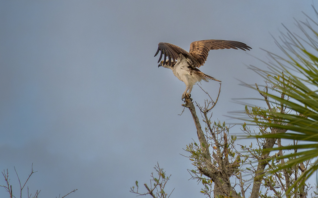 20230105 BlkPointDrive Z50 3933 NEF