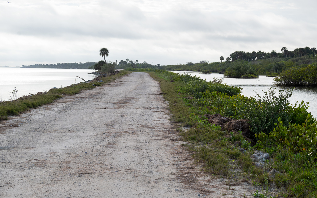 20230105 BlkPointDrive Z50 3938 NEF