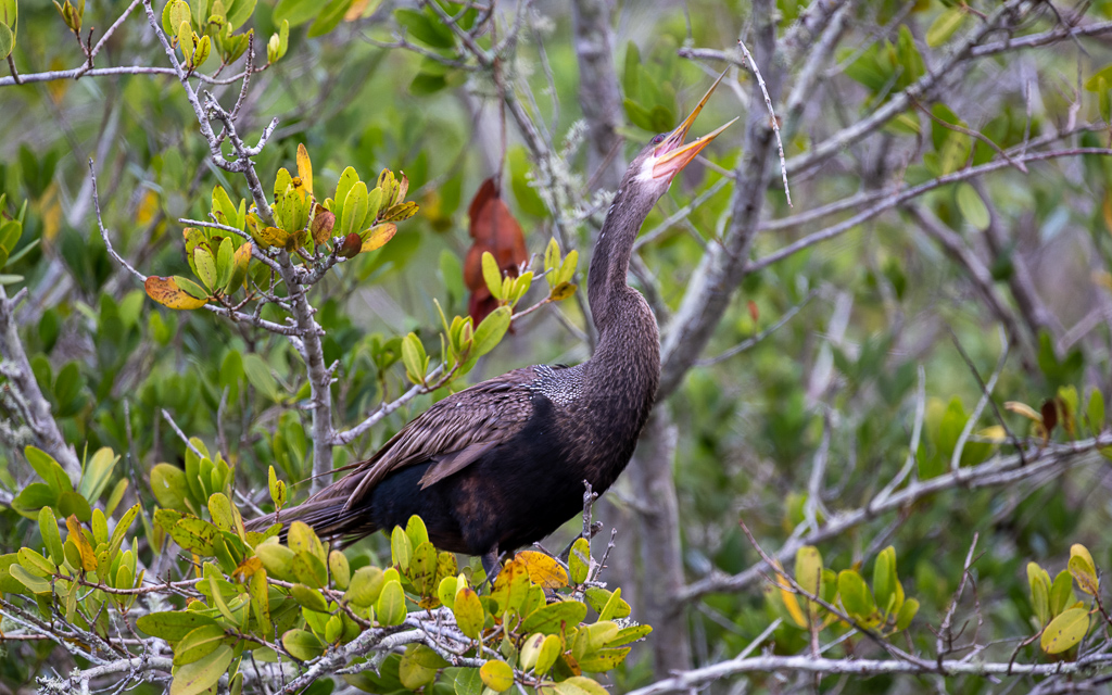 20230105 BlkPointDrive Z9 7527 NEF