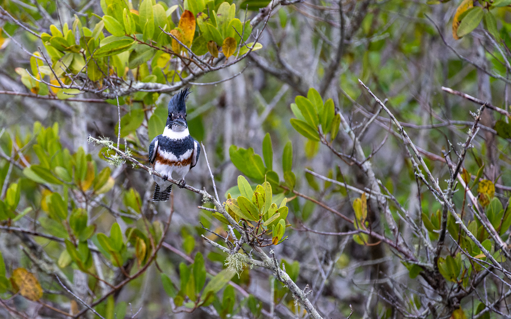 20230105 BlkPointDrive Z9 7573 NEF