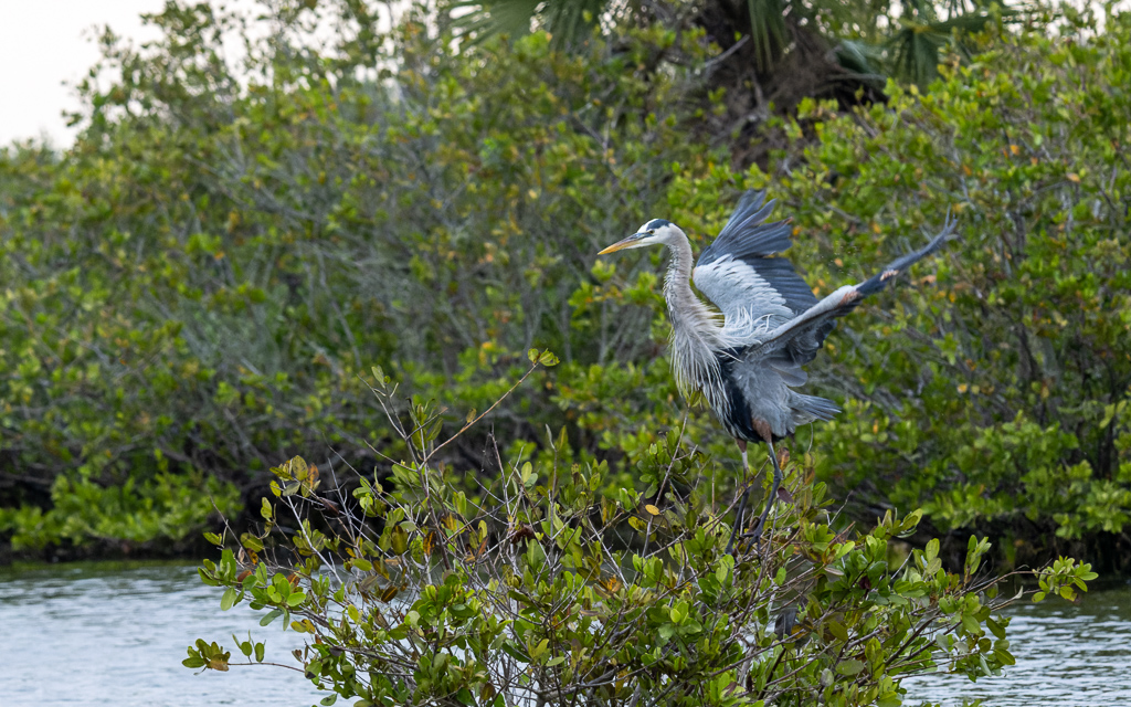 20230105 BlkPointDrive Z9 7641 NEF