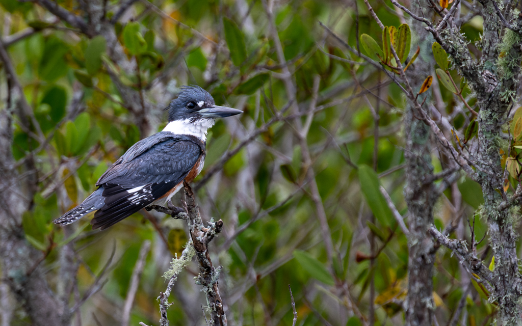 20230105 BlkPointDrive Z9 7668 NEF