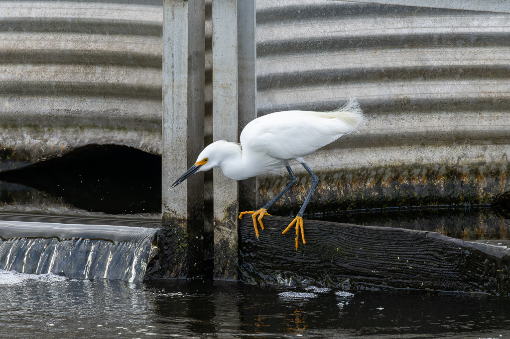 20230105 BlkPointDrive Z9 7745 NEF Edit