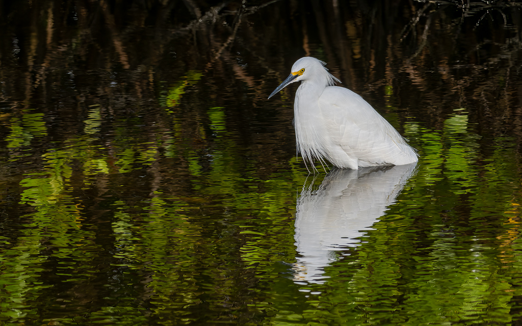 20230105 BlkPointDrive Z9 7823 NEF Edit