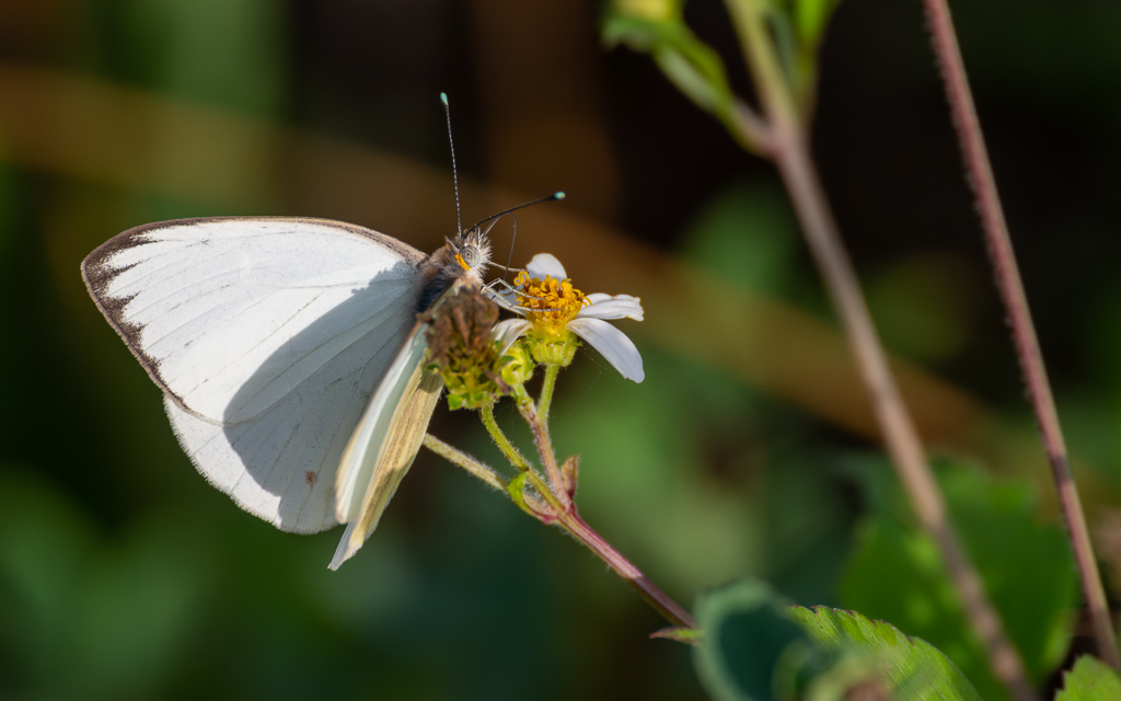 20230105 BlkPointDrive Z9 7841 NEF