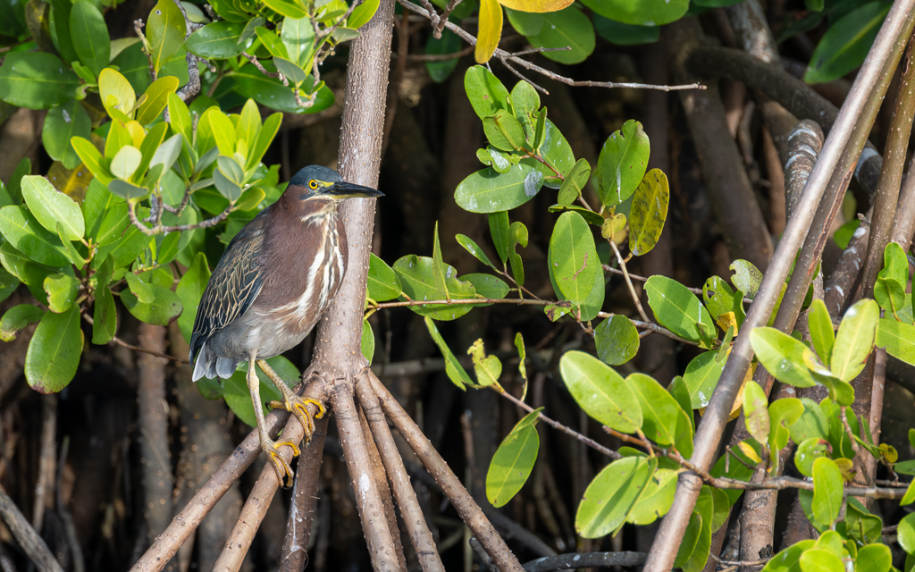 20230105 BlkPointDrive Z9 7856 NEF