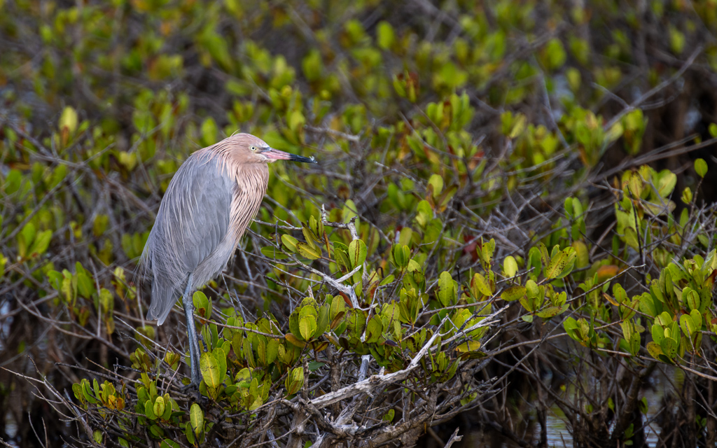 20230105 BlkPointDrive Z9 7911 NEF