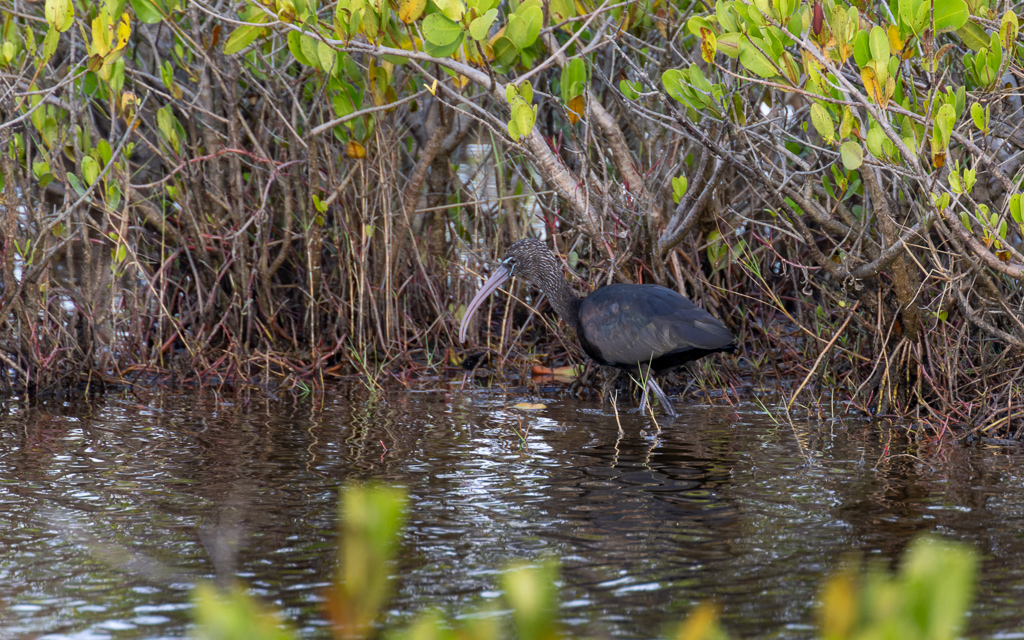 20230105 BlkPointDrive Z9 7929 NEF