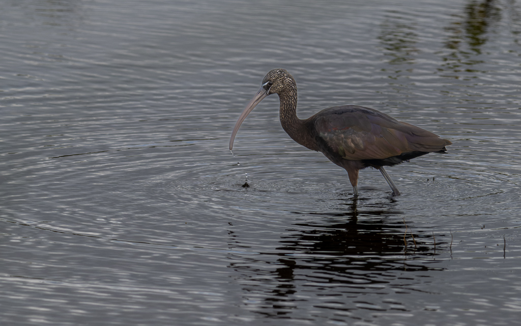 20230105 BlkPointDrive Z9 7946 NEF