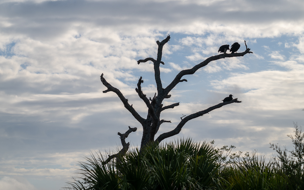 20230105 BlkPointDrive Z9 7970 NEF