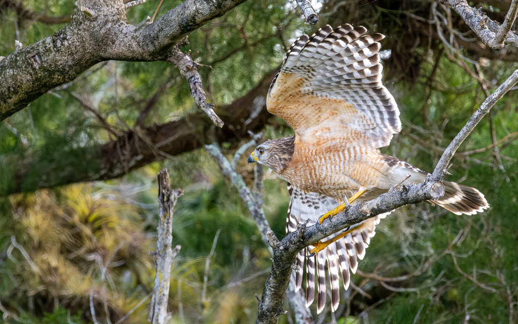 20230105 BlkPointDrive Z9 8020 NEF Edit