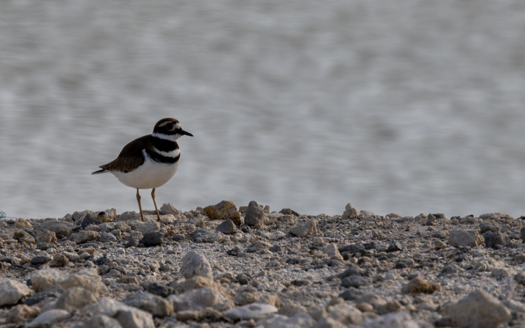 20230105 BlkPointDrive Z9 8042 NEF