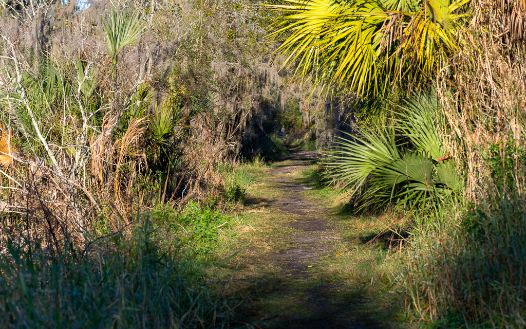 20230106 CircBarB Z9 8138s NEF