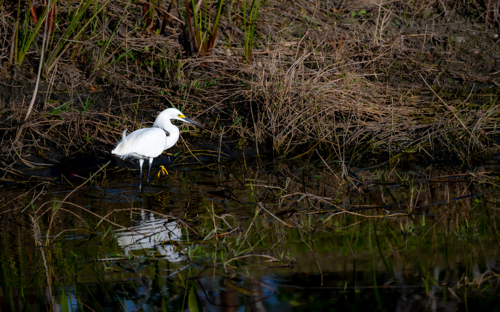 20230118 LPR Z9 8618 NEF