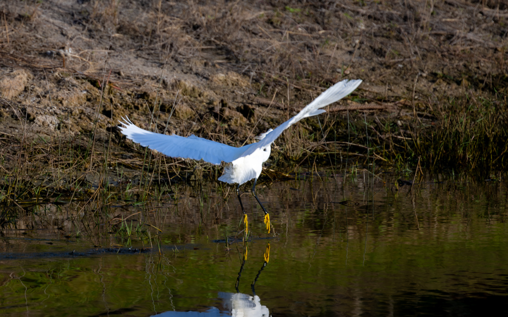 20230118 LPR Z9 8674 NEF