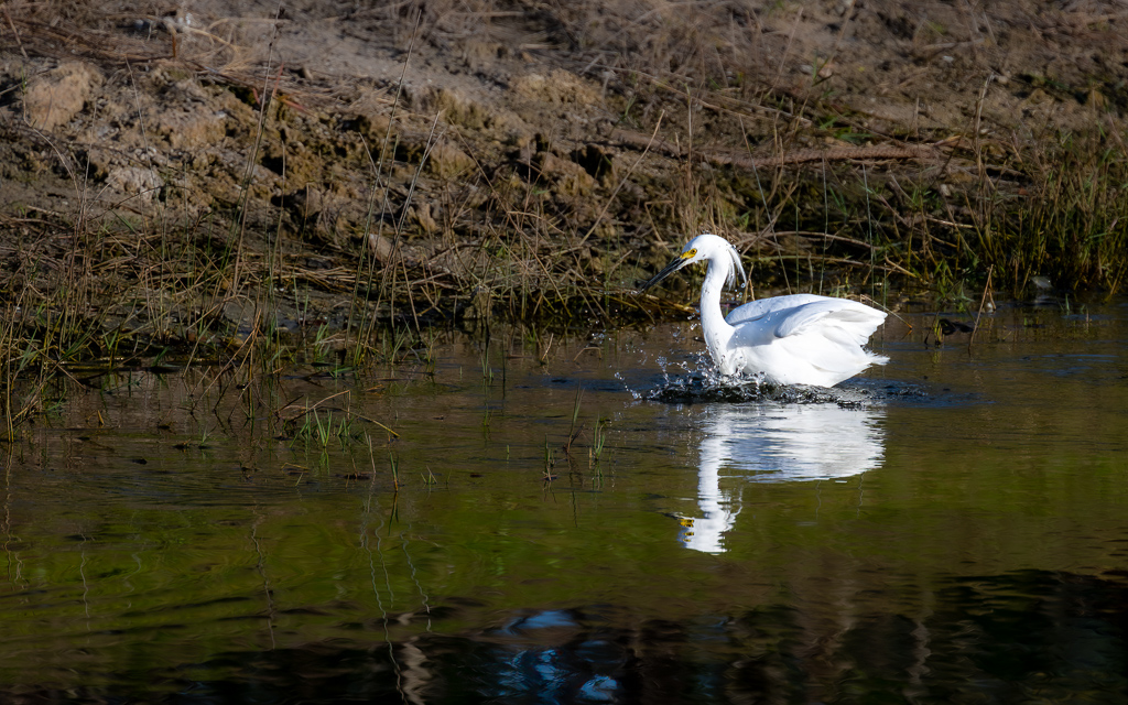 20230118 LPR Z9 8681 NEF Edit