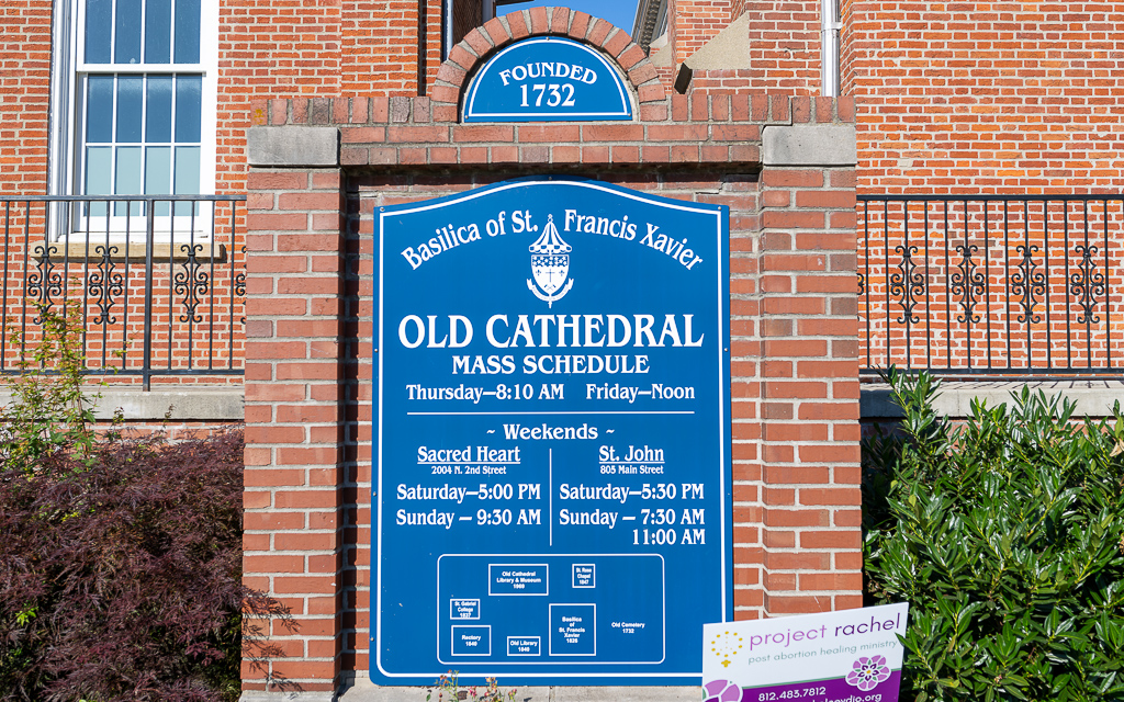 DZ9_0415 1-NEF_DxO_DeepPRIME.jpg DZ9 0415 1 NEF DxO DeepPRIME